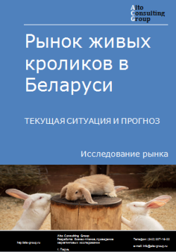 Анализ рынка живых кроликов в Беларуси. Текущая ситуация и прогноз 2024-2028 гг.
