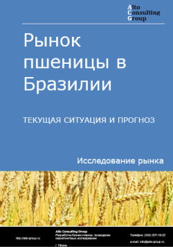 Рынок пшеницы в Бразилии. Текущая ситуация и прогноз 2024-2028 гг.