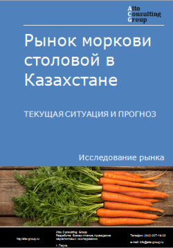 Анализ рынка моркови столовой в Казахстане. Текущая ситуация и прогноз 2024-2028 гг.