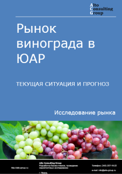 Рынок винограда в ЮАР. Текущая ситуация и прогноз 2024-2028 гг.