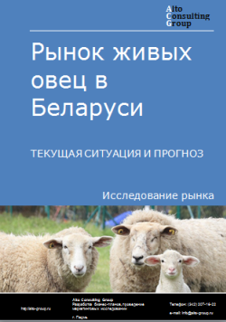 Анализ рынка живых овец  в Беларуси. Текущая ситуация и прогноз 2024-2028 гг.