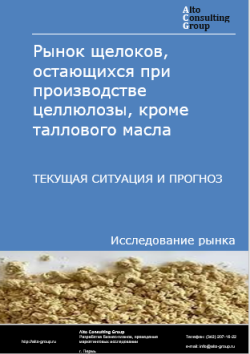 Рынок щелоков, остающихся при производстве целлюлозы, кроме таллового масла в России. Текущая ситуация и прогноз 2024-2028 гг.