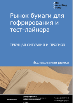 Обложка Анализ рынка бумаги для гофрирования и тест-лайнера в РФ. Текущая ситуация и прогноз 2024-2028 гг.