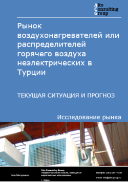 Рынок воздухонагревателей или распределителей горячего воздуха неэлектрических в Турции. Текущая ситуация и прогноз 2024-2028 гг.