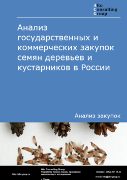 Обложка исследования: Анализ закупок семян деревьев и кустарников в России в 2024 г.