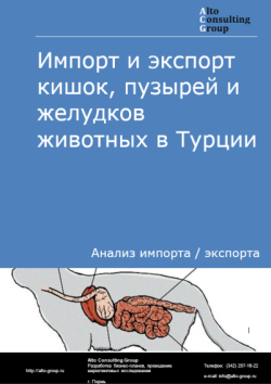 Обложка отчета: Анализ импорта и экспорта кишок, пузырей и желудков животных в Турции в 2021-2025 гг.