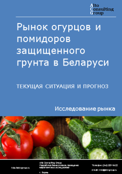 Рынок огурцов и помидоров защищенного грунта в Беларуси. Текущая ситуация и прогноз 2024-2028 гг.