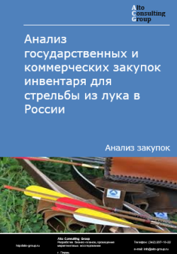 Обложка исследования: Анализ закупок инвентаря для стрельбы из лука в России в 2024 г.