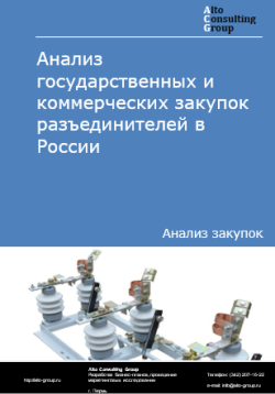 Анализ государственных и коммерческих закупок разъединителей в России в 2024 г.