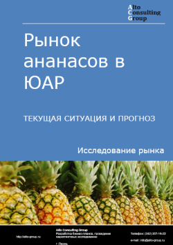 Рынок ананасов в ЮАР. Текущая ситуация и прогноз 2024-2028 гг.