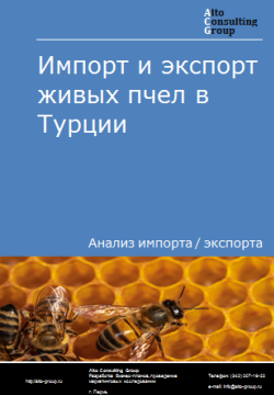 Анализ импорта и экспорта живых пчел в Турции в 2019-2023 гг.