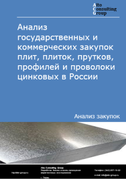Обложка отчета: Анализ закупок плит, плиток, прутков, профилей и проволоки цинковых в России в 2025 г.