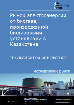 Анализ рынка электроэнергии от биогаза, произведенной биогазовыми установками в Казахстане. Текущая ситуация и прогноз 2024-2028 гг.