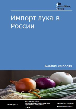 Импорт лука в России в 2020-2024 гг.