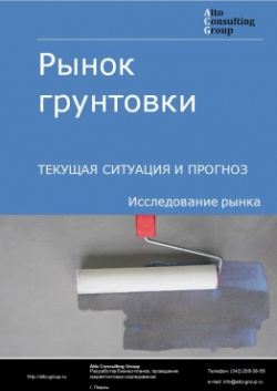 Рынок грунтовки в России. Текущая ситуация и прогноз 2024-2028 гг.