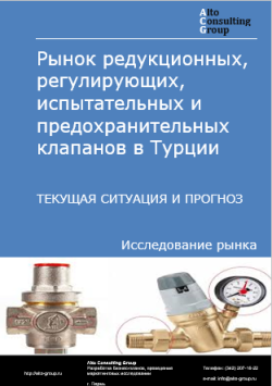 Обложка исследования: Анализ рынка редукционных, регулирующих, испытательных и предохранительных клапанов в Турции. Текущая ситуация и прогноз 2024-2028 гг.