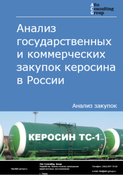 Анализ государственных и коммерческих закупок керосина в России в 2024 г.