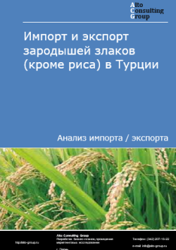 Обложка отчета: Анализ импорта и экспорта зародышей злаков (кроме риса) в Турции в 2021-2025 гг.