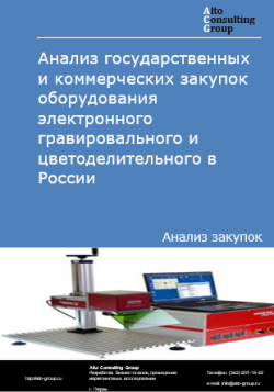 Анализ государственных и коммерческих закупок оборудования электронного гравировального и цветоделительного в России в 2024 г.