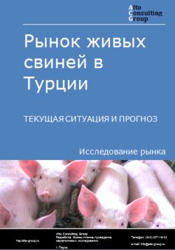 Анализ рынка живых свиней в Турции. Текущая ситуация и прогноз 2024-2028 гг.