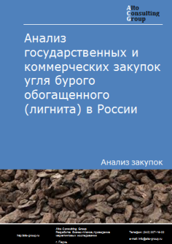 Анализ государственных и коммерческих закупок угля бурого обогащенного (лигнита) в России в 2023 г.