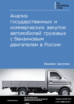 Анализ государственных и коммерческих закупок автомобилей грузовых с бензиновым двигателем в России в 2023 г.