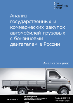 Обложка исследования: Анализ закупок автомобилей грузовых с бензиновым двигателем в России в 2023 г.