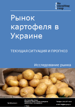Анализ рынка картофеля в Украине. Текущая ситуация и прогноз 2024-2028 гг.