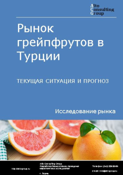 Рынок грейпфрутов в Турции. Текущая ситуация и прогноз 2024-2028 гг.