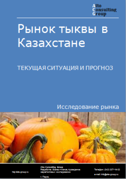 Рынок тыквы в Казахстане. Текущая ситуация и прогноз 2023-2027 гг.