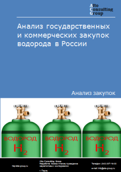 Анализ государственных и коммерческих закупок водорода в России в 2023 г.