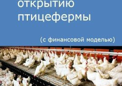 Компания Alto Consulting Group разработала бизнес-план по открытию птицефермы для Смоленской области