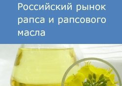 Российский рынок рапса и рапсового масла