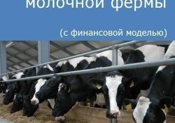 Компания Alto Consulting Group подготовила бизнес-план молочной фермы для КФХ