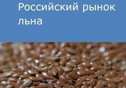 Российский рынок льна