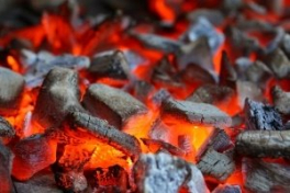 Производство древесного угля в феврале 2019 года сократилось на 26%