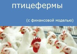 Компания Alto Consulting Group разработала бизнес-план птицефермы для Белгородская области