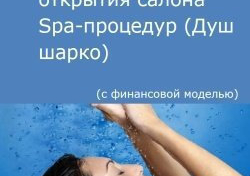 Компания Alto Consulting Group разработала бизнес-план открытия салона Spa-процедур (Душ шарко) для г. Оренбург