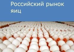 Российский рынок яиц