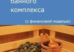 Компания Alto Consulting Group разработала бизнес-план банного комплекса