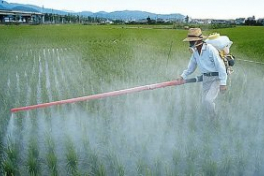 В 2015 году доля импортной продукции на российском рынке пестицидов увеличилась