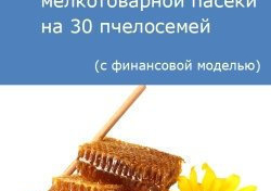 Компания Alto Consulting Group разработала бизнес-план мелкотоварной пасеки на 30 пчелосемей