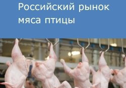 Российский рынок мяса птицы