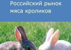 Российский рынок мяса кроликов