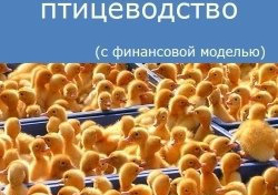 Компания Alto Consulting Group разработала бизнес-план птицеводство для КФХ