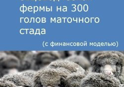 Компания Alto Consulting Group разработала бизнес-план овцеводческой фермы на 300 голов маточного стада для Ростовской области
