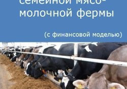Компания Alto Consulting Group разработала бизнес-план семейной мясо-молочной фермы для Республики Башкортостан