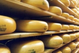 Производство российского сыра в 2015 году выросло на 17,6%