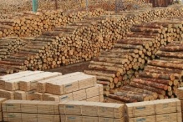 Объем производства лесоматериалов в Сибирском ФО увеличился на +5,8% в 2018 году