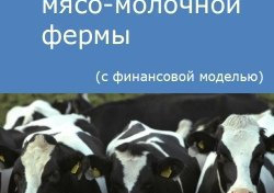 Компания Alto Consulting Group разработала бизнес-план мясо-молочной фермы